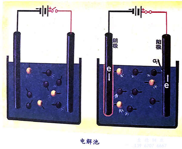 電解池.jpg 電解池.jpg
