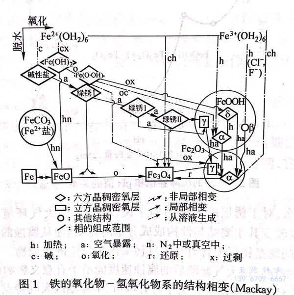 圖 1.jpg 圖 1.jpg