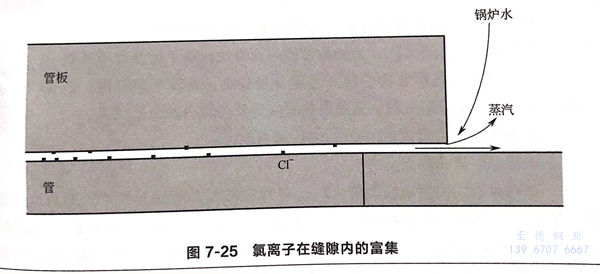 25.jpg 25.jpg