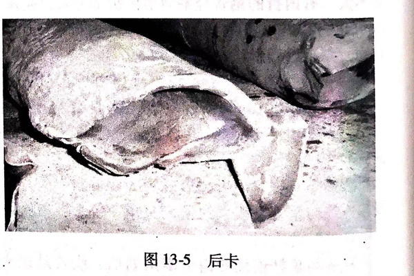 圖 5.jpg 圖 5.jpg