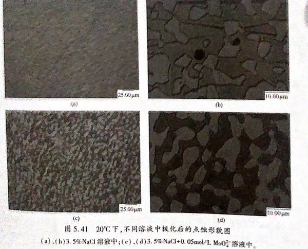 41.jpg 41.jpg
