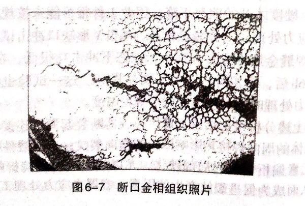 7.jpg 7.jpg