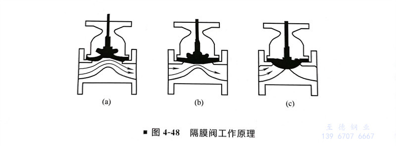 圖 48.jpg 圖 48.jpg