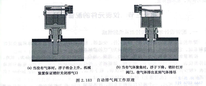 183.jpg 183.jpg