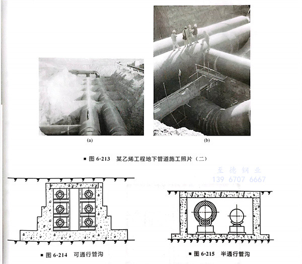 213.jpg 213.jpg