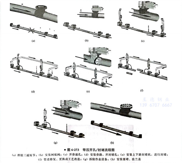 273.jpg 273.jpg