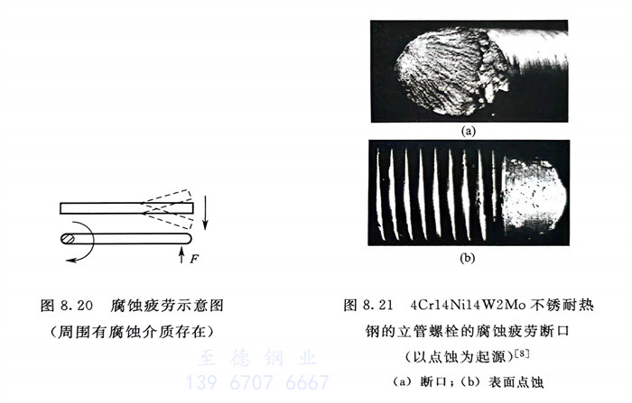 20.jpg 20.jpg